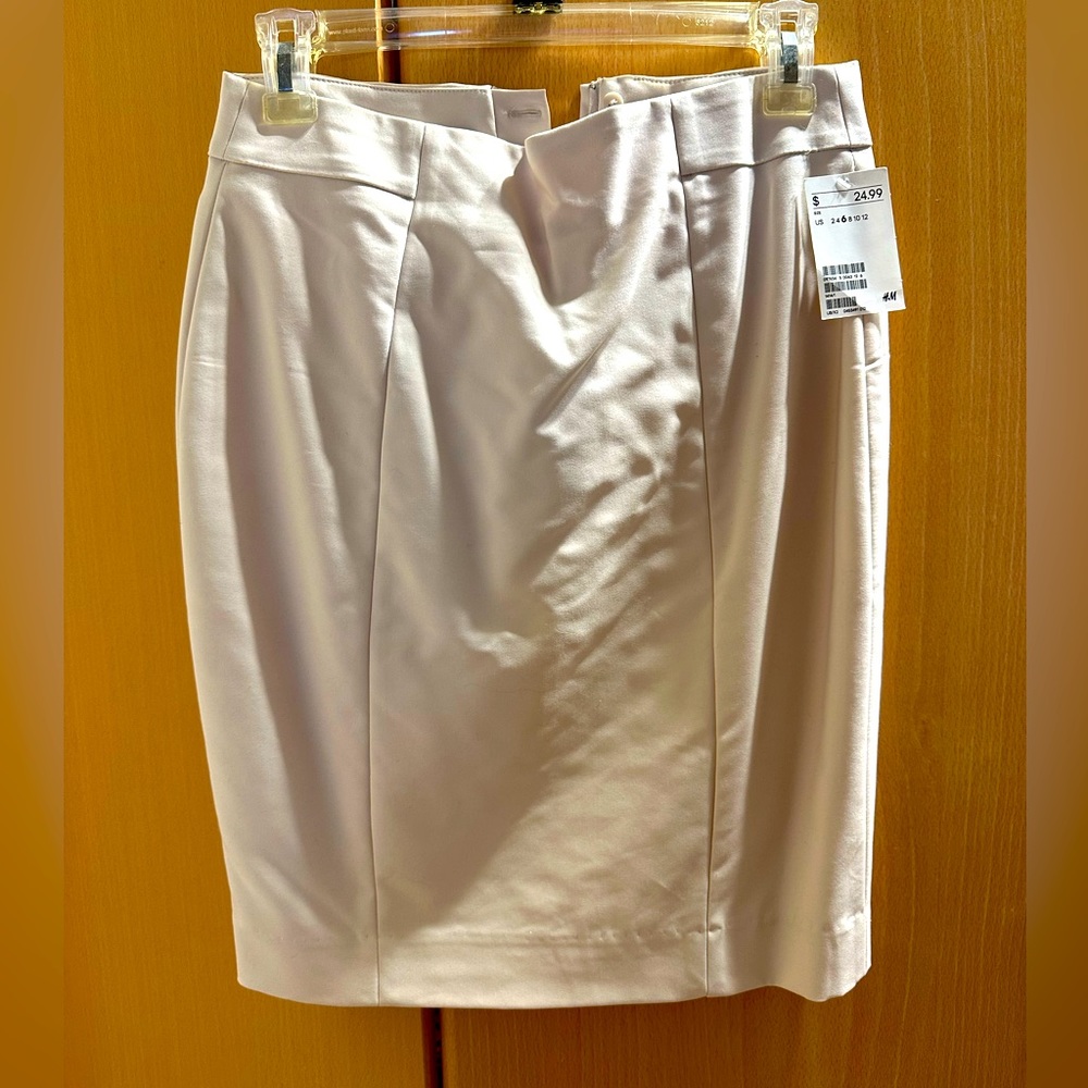 Professional Skirt